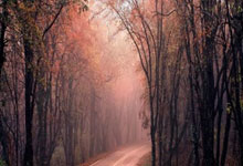 PG电子官网：林荣福控股公司否认出售巴伦西亚球会.