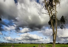 世体：奥尔莫确定将缺席国王杯半决赛次回合客战马竞.