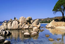 记者：国米前锋塔雷米因肌肉疲劳缺席与乌迪内斯的比赛.